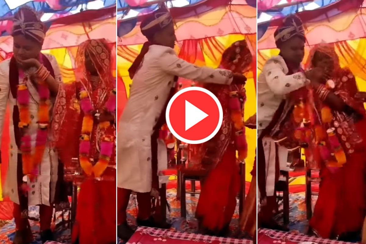 Bride Groom Video लड्डू खिलाया तो दूल्हे ने पूरी ताकत से भींच लिया मुंह फिर दुल्हन ने जो किया 1242