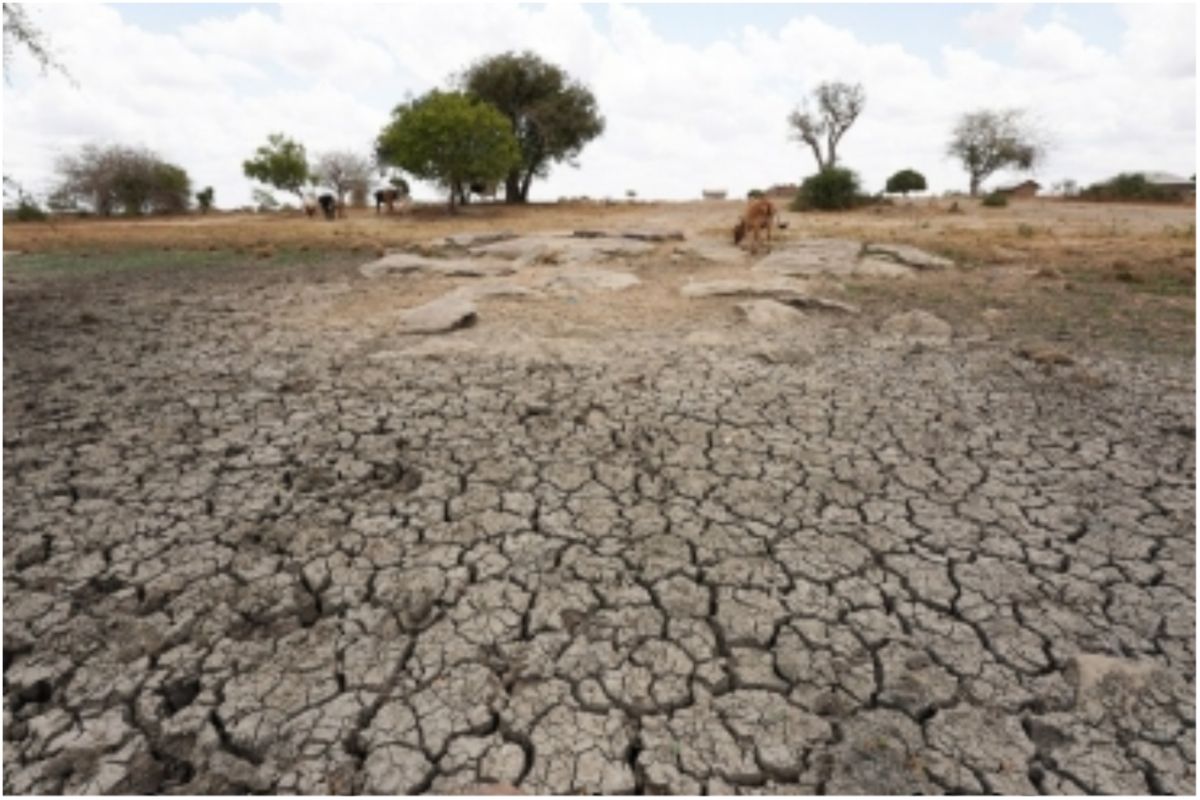 The UN report added that some of the key areas in the Indo-Gangetic basin in India have already passed the groundwater depletion tipping point.