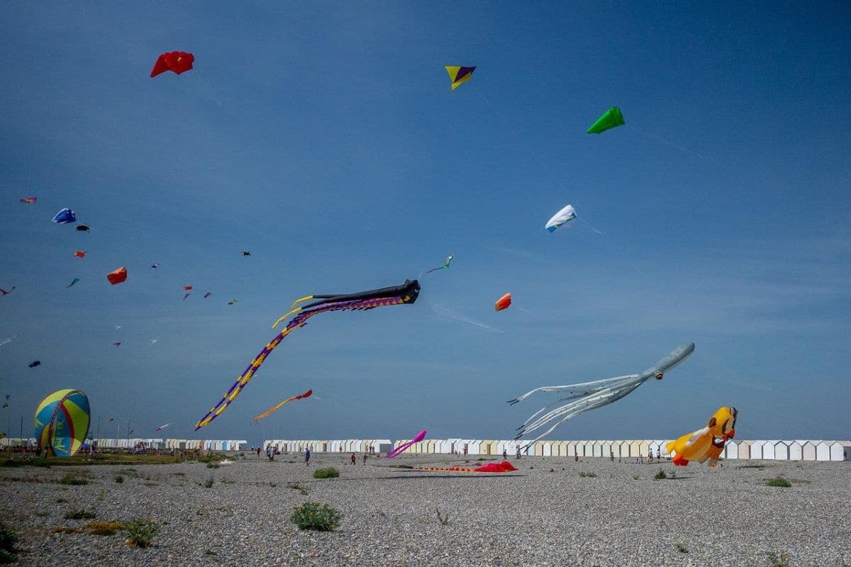 Tamil Nadu To Host First International Kite Flying Festival This ...