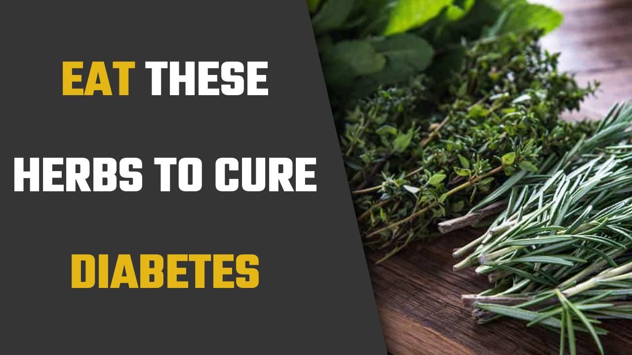 Diabetes Cure These Herbs Have Some Amazing Properties To Treat