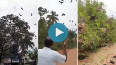Heartbreaking! Scores of Birds Die, Their Nests Destroyed After Tree Gets Chopped Down in Kerala | Watch