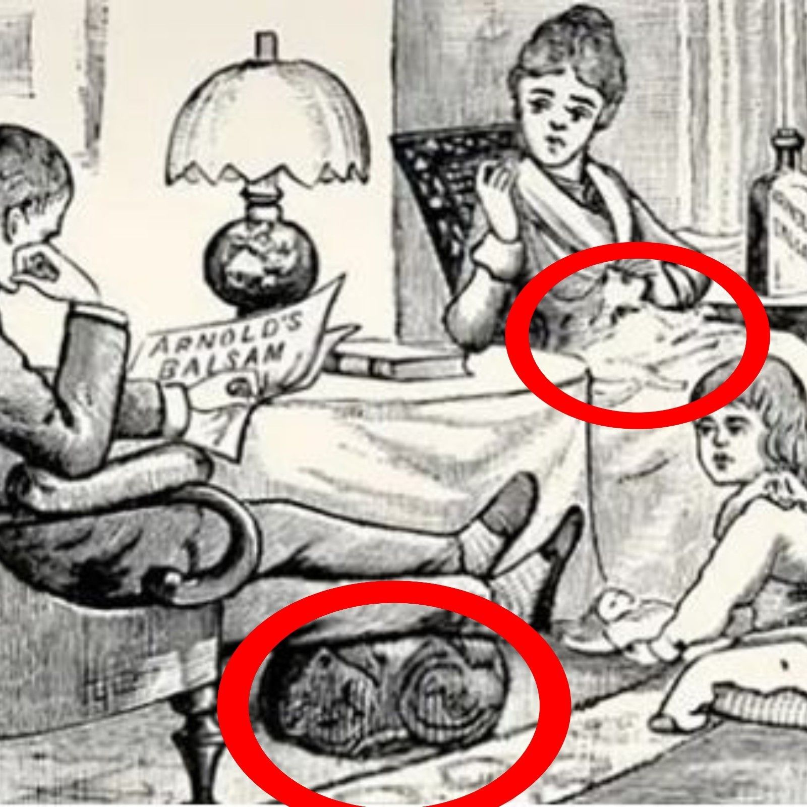 Viral Optical Illusion Can You Find The 2 Cats Hidden In This Picture