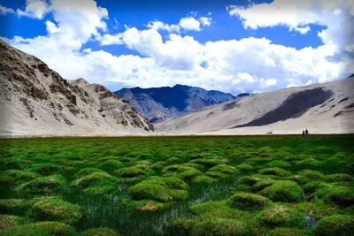 Puga Valley Ladakh: हर किसी को एक बार जरूर घूमनी चाहिए लद्दाख की ये खूबसूरत  घाटी,