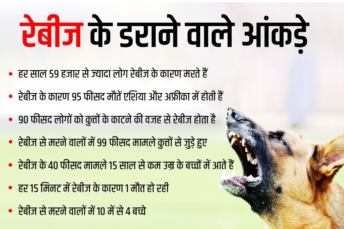 Dog bite shop symptoms in hindi