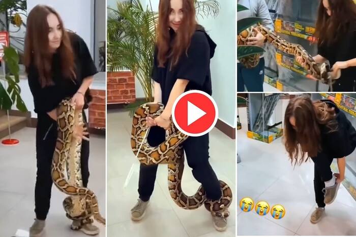 Viral Video: Python Wraps Around Girls Leg, Steals Her Shoe. Netizens ...