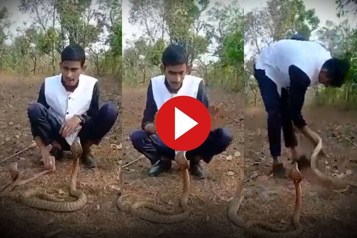 Viral Video: Karnataka Man Tries Handling 3 Cobras At Once, Stunt Goes ...