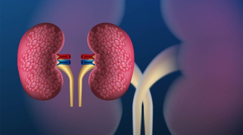 EXPLAINED What is EnBloc Kidney Transplant
