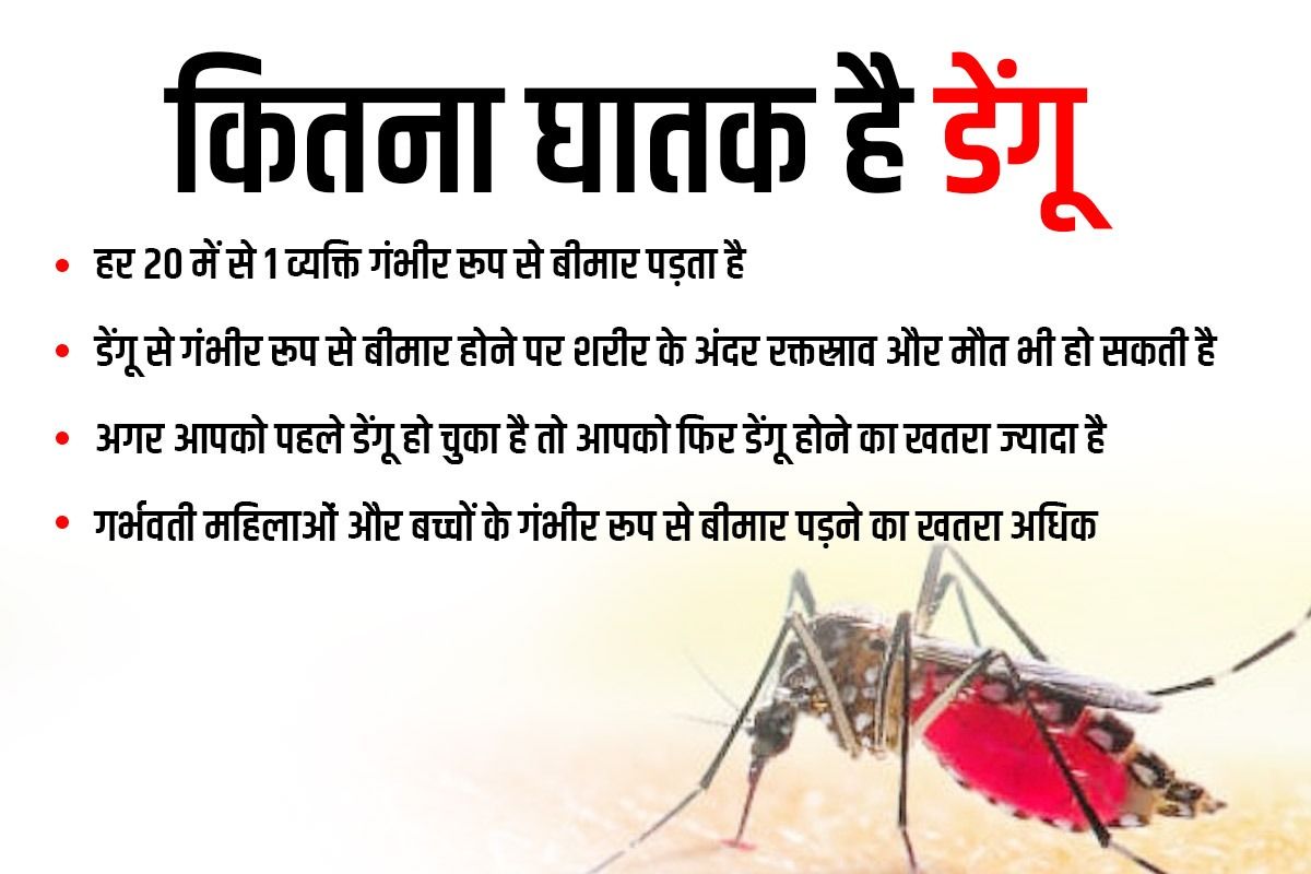 डेंगू (Dengue) के लक्षण, कारण और इलाज के साथ ही जानिए बचाव के उपाय भी