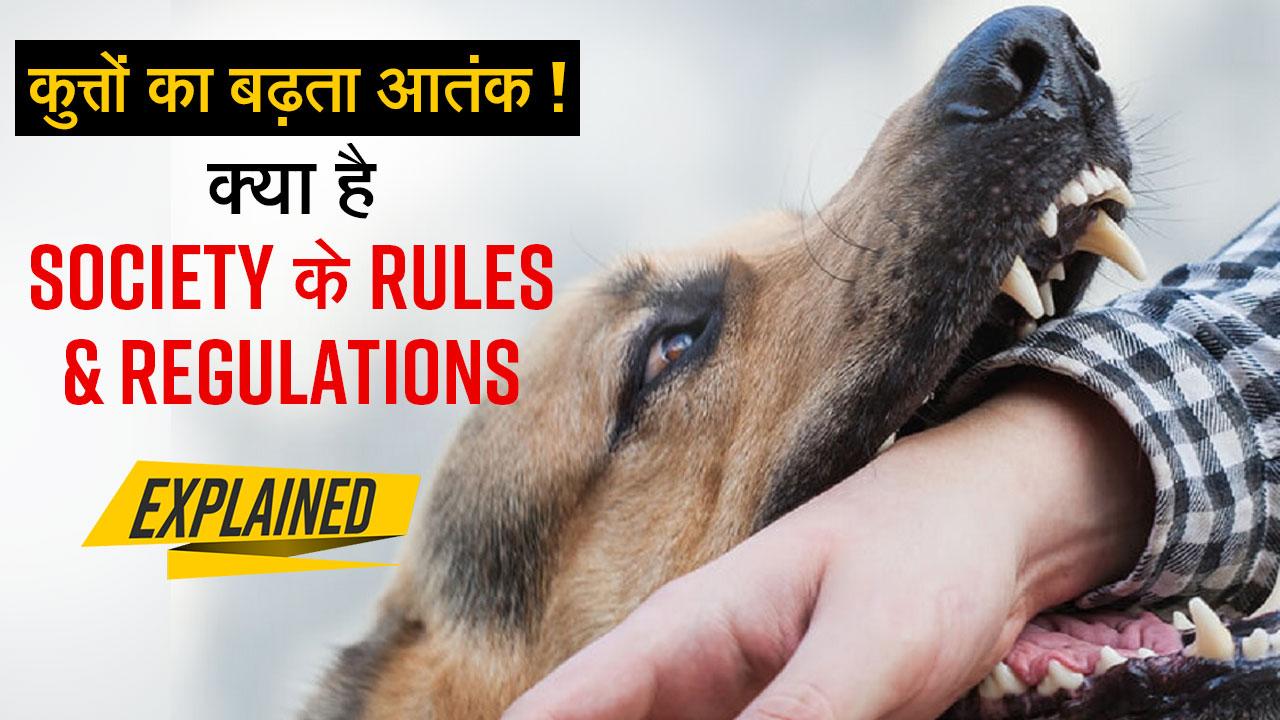 Dog Bite Incident कुत्तों का बढ़ता आतंक ! क्या है Society के Rules And