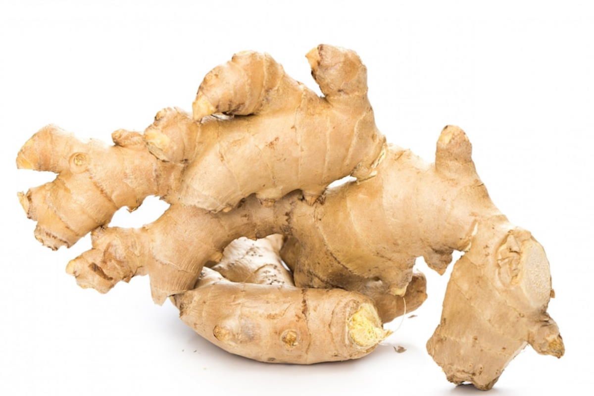 वजन घटाना चाहते हैं तो पिएं अदरक का रस, जानें अन्य फायदे