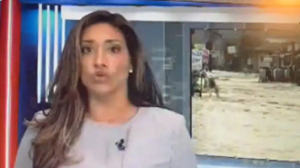 Viral Video News Anchor Swallows Fly On Live Tv Netizens Cant Stop