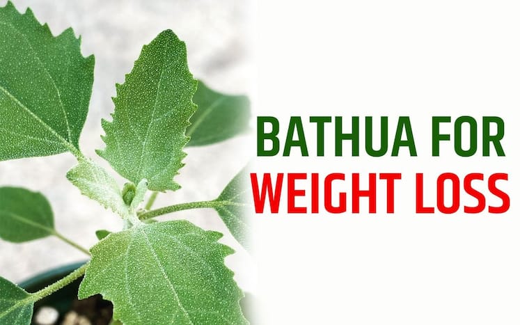 weight-loss-tips-for-winters-does-bathua-help-in-losing-kilos-check