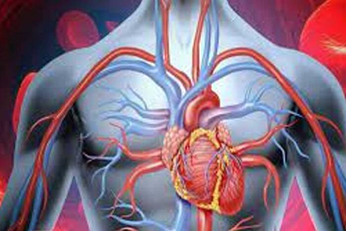 Blood Circulation