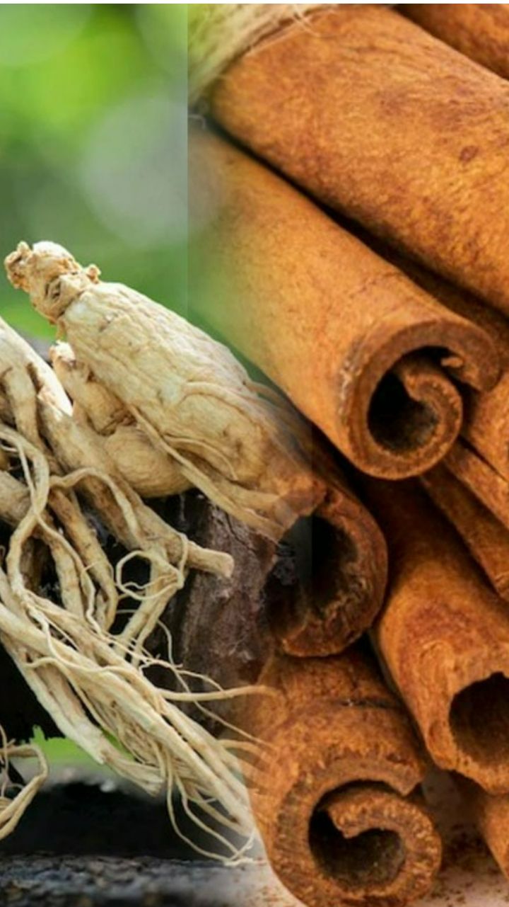 7 Ayurvedic Herbs to Control Diabetes