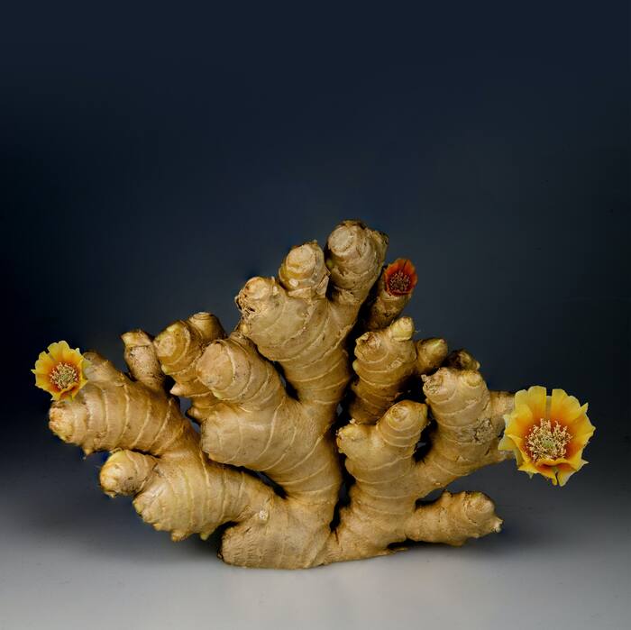 Ginger for Good blood circulation