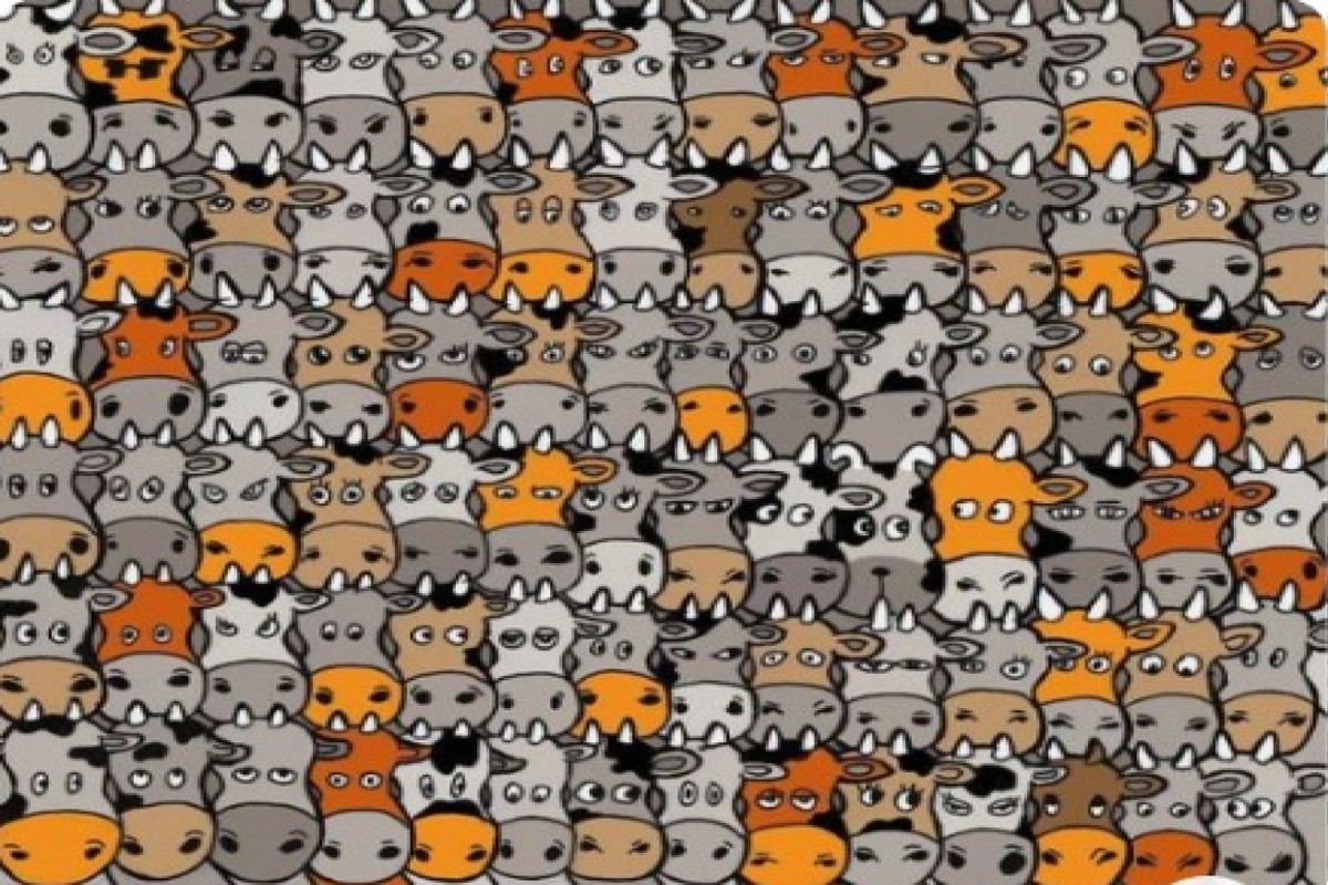 Optical Illusion: Can You Find The Dog Hiding In This Herd Of Cows Within 30 Seconds?