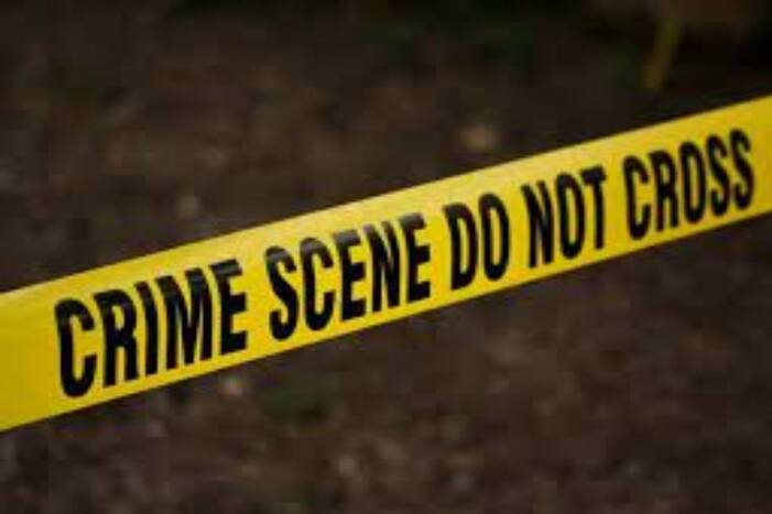 Delhi Murder: Four Family Members Stabbed To Death In House In Palam Area