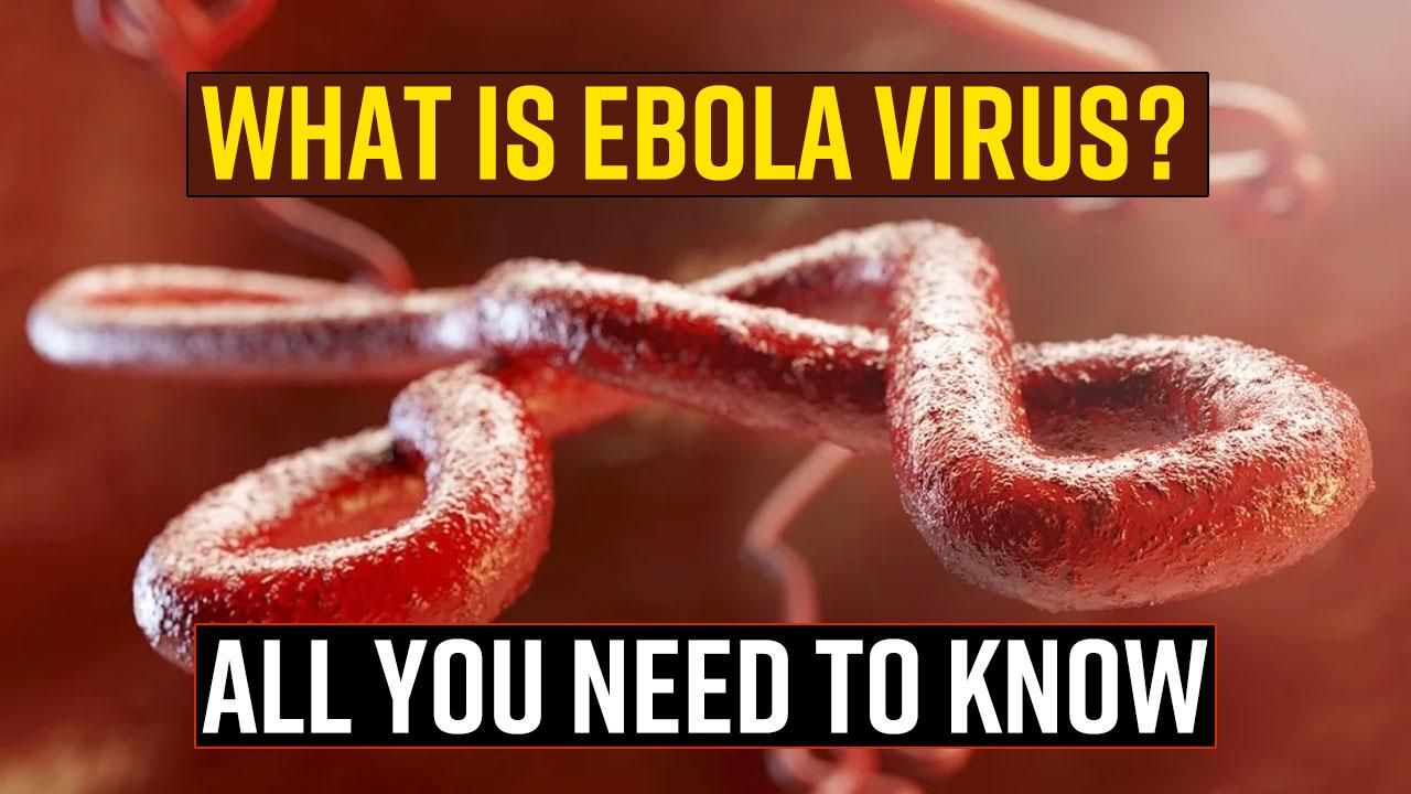 Uganda Ebola Virus Outbreak: What Is Ebola Virus? Symptoms, Causes And 