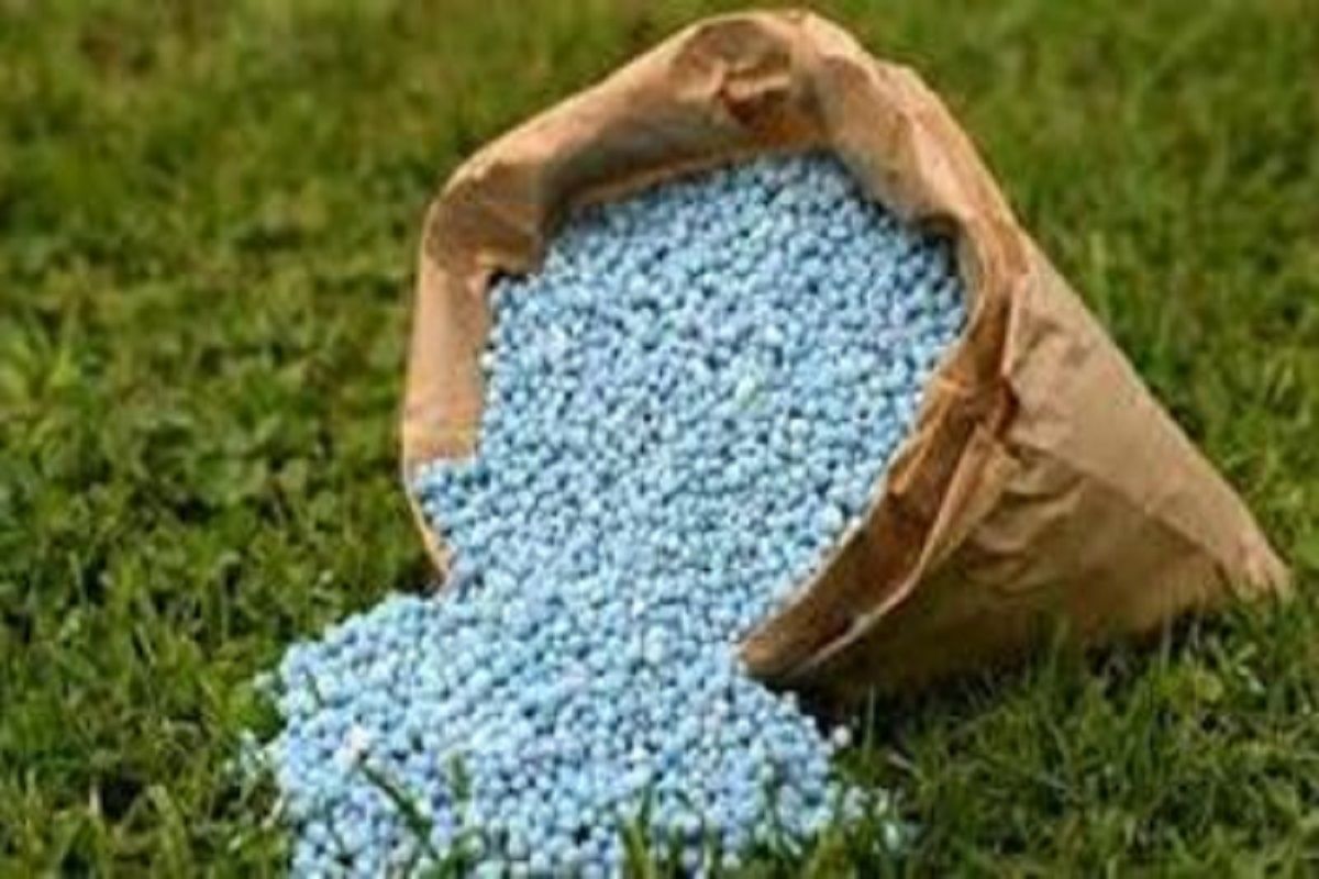 Fertilizer Subsidy 40 000 fertilizer-subsidy-40-000