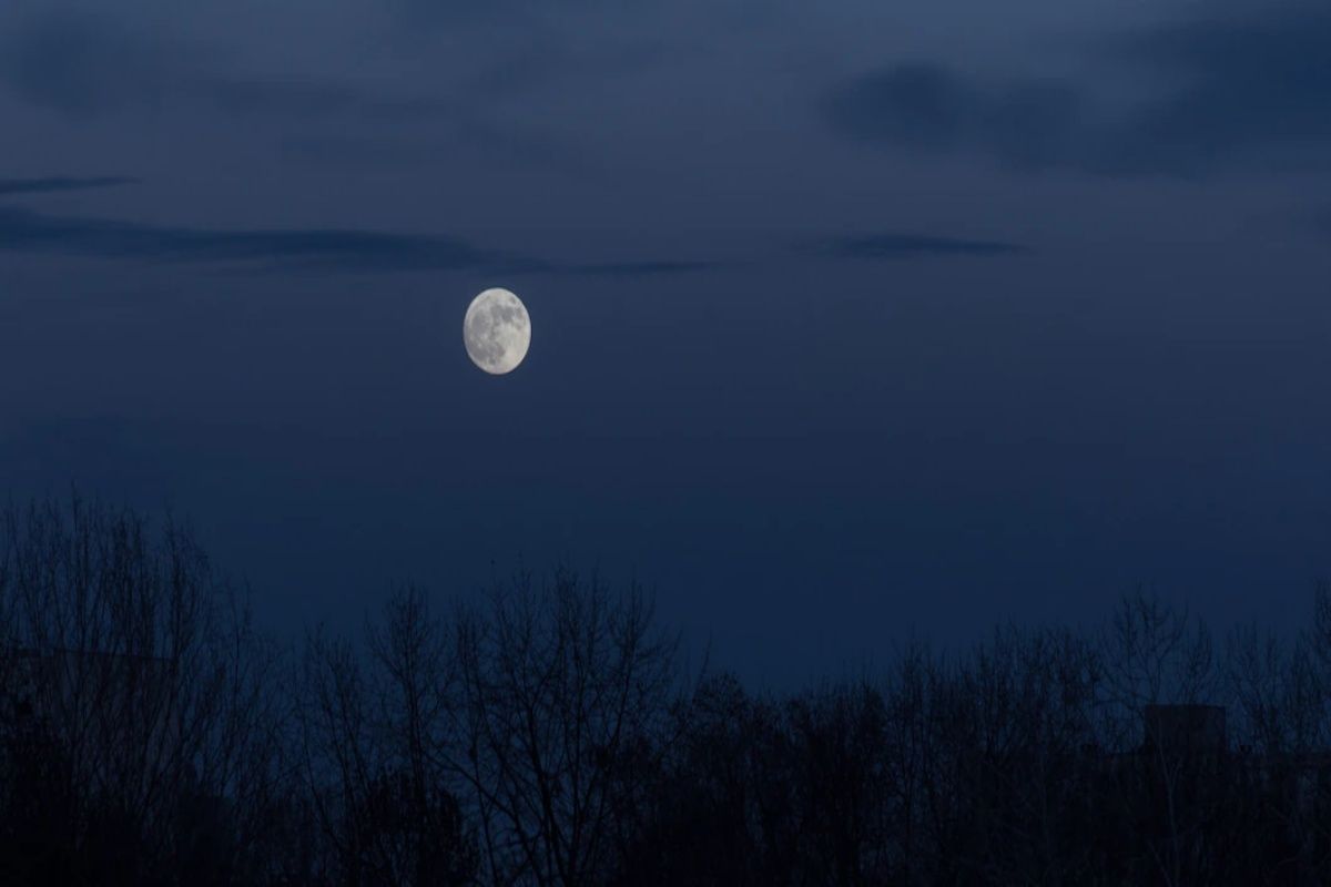 Travel For Chandni Raat? In A First, THIS State To Launch Full Moon ...