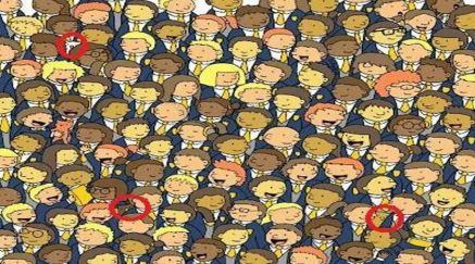 Optical Illusion: Can You Find 3 Owls Hiding In This Crowd Of School ...