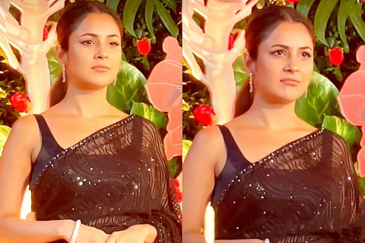 Shehnaaz Gill rocks a sheer saree look at a Bollywood Diwali party