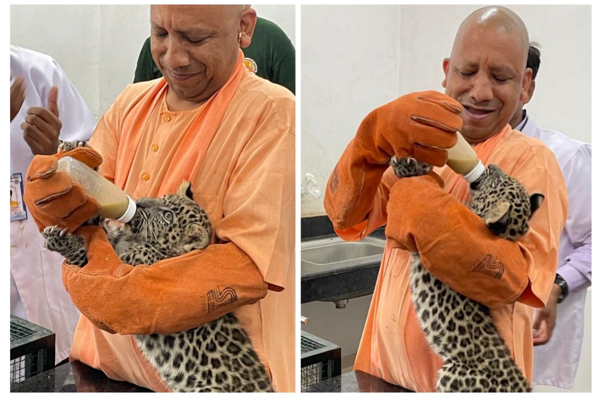 Yogi Adityanath Feeds Milk to Leopard Cubs at Gorakhpur Zoo, Names Them