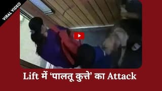 Viral Video: Greater Noida में पालतू कुत्ते ने किया बच्चे पर हमला, Lift के अंदर माँ-बेटे थे मौजूद | Watch Video