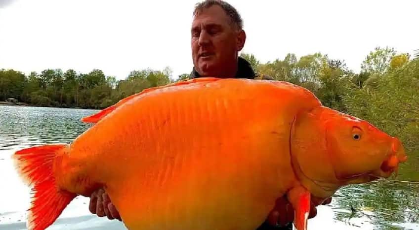 Andy Hackette with 'The Carrot (Photo: Bluewater Lakes)