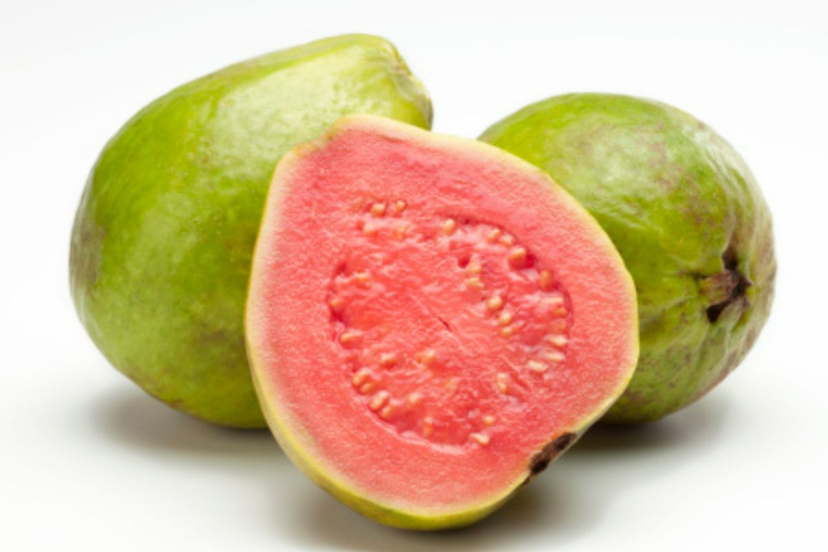 5 Reasons Why You Must Eat Guava in Winters