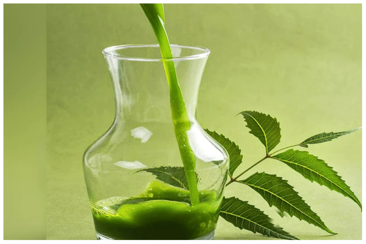 Neem Ke Tel Ke Fayde बेहद चमत्कारी है नीम का तेल, बालों और स्किन के