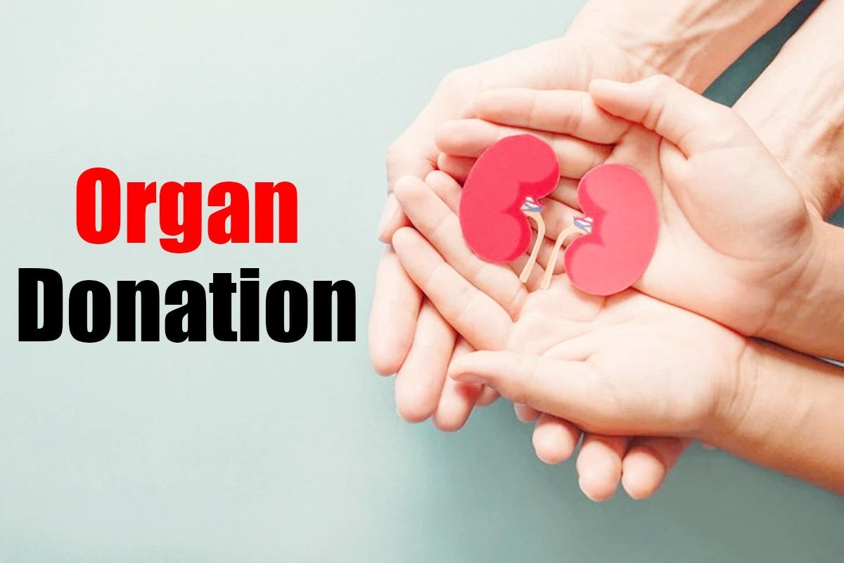 Organ Donation Definition In Science