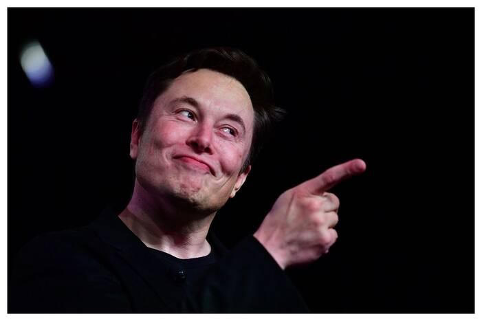 Twitter, Internet, Musk, Elon Musk, Chief Twit, blue tick, Tesla