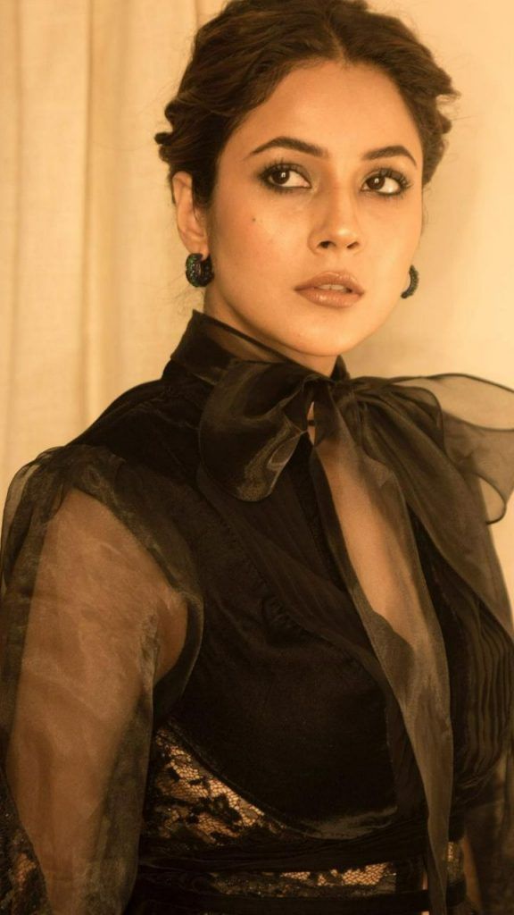 Shehnaaz Gill rocks a Victorian hairstyle and flaunts an unusual updo with her black outfit.