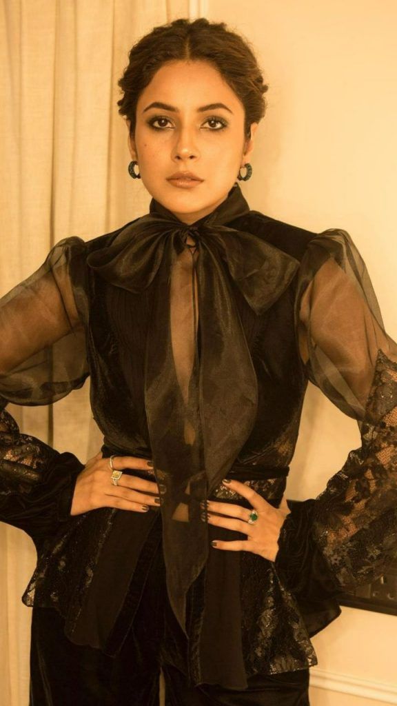 Shehnaaz Gill looks absolutely stunning in her black organza top with matching pants.
