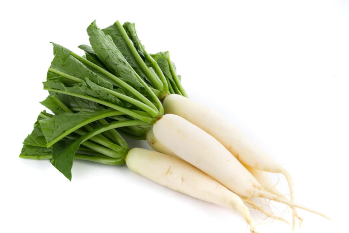 मूली के अंकुरित बीज रोजाना खाइए, इन बड़ी बीमारियों में है बेहद फायदेमंद