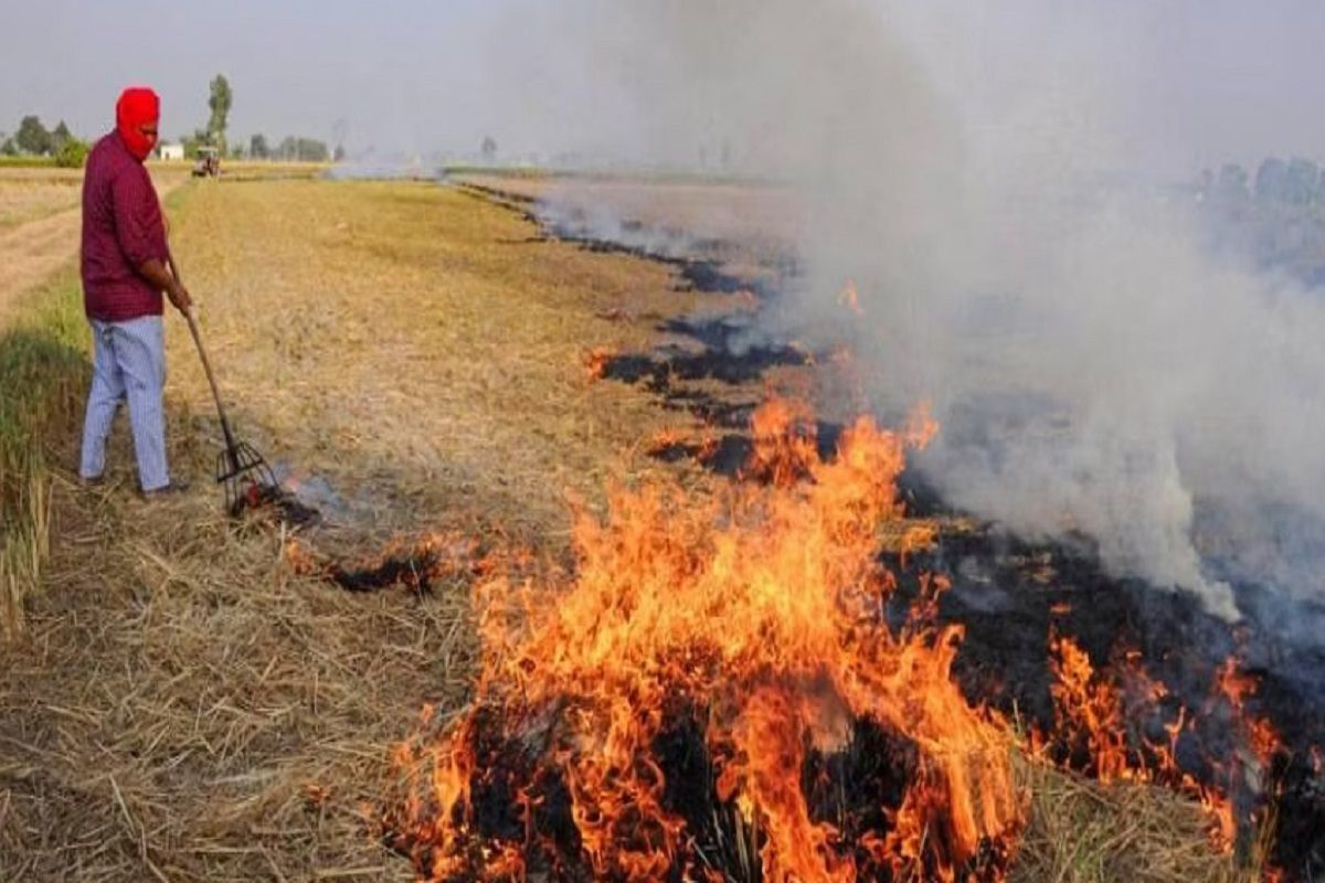 DelhiNCR Feels The Heat of Stubble Burning as Punjab Records 33.4