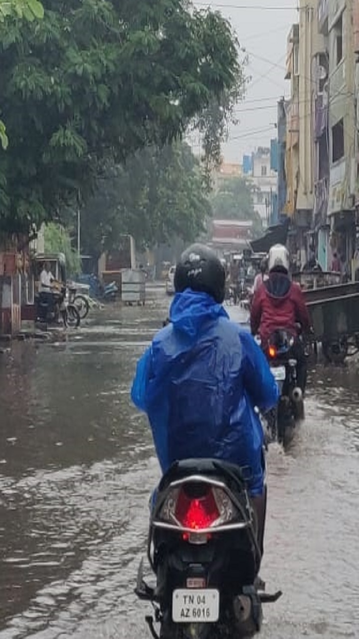 Tamil Nadu Rains: Red Alert Issued For 5 Districts