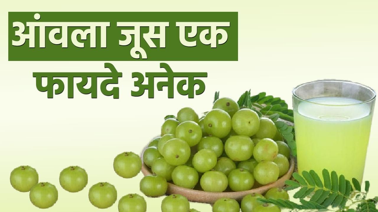 Amla Juice Benefits आंवला का जूस है सेहत के लिए वरदान, Video में जानें इसके गुणकारी फायदे Watch