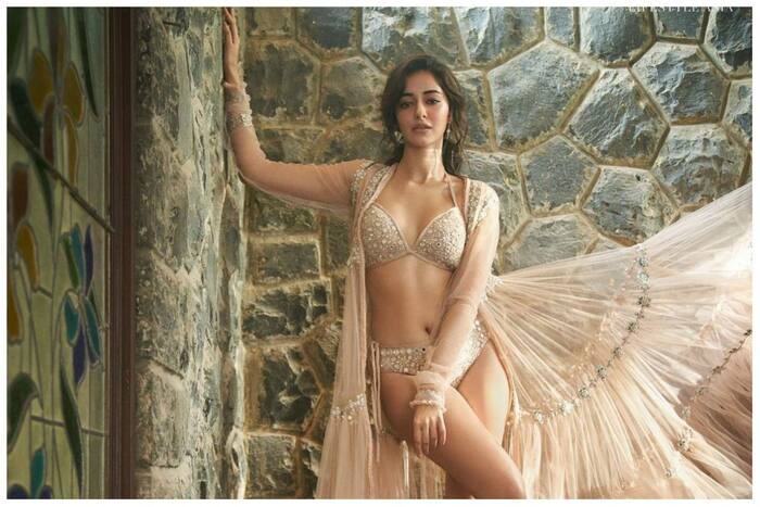 Ananya Panday Raises Mercury in Hot Embellished Bikini in Sizzling Photoshoot - See Viral Photos