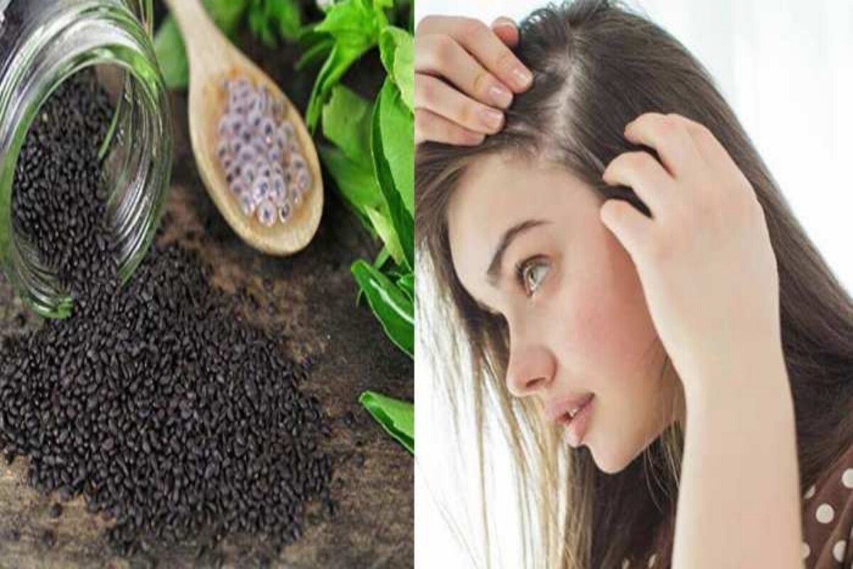 Basil Seeds Benefits तुलसी के छोटेछोटे बीज में हैं बड़ेबड़े गुण