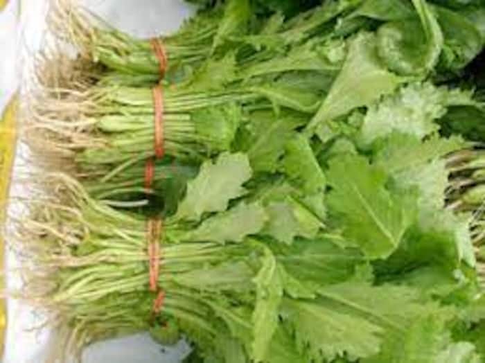 Sarson Saag Ke Fayde खूब खाएं सरसों का साग बॉडी के लिए है पावर हाउस