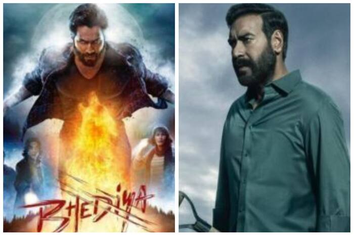 Bhediya Box Office Collection Day 2: Varun Dhawan Starrer Witnesses Growth Despite Stiff Competition From Drishyam 2 - Check Detailed Report