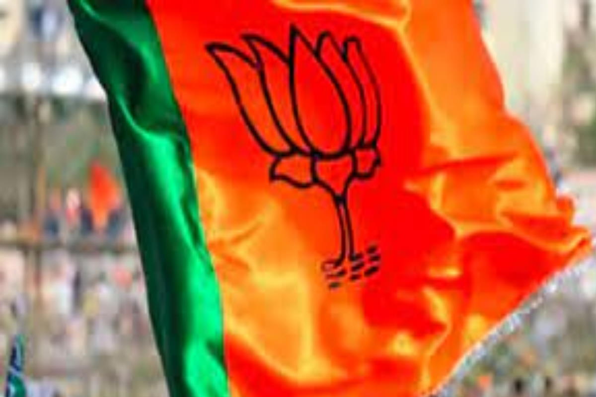 महाराष्ट्र विधान परिषद चुनाव: बीजेपी ने कोंकण सीट जीती, गडकरी-फडणवीस के गढ़ में MVA से मिली हार