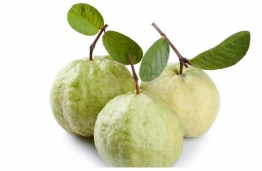 Guava benifits