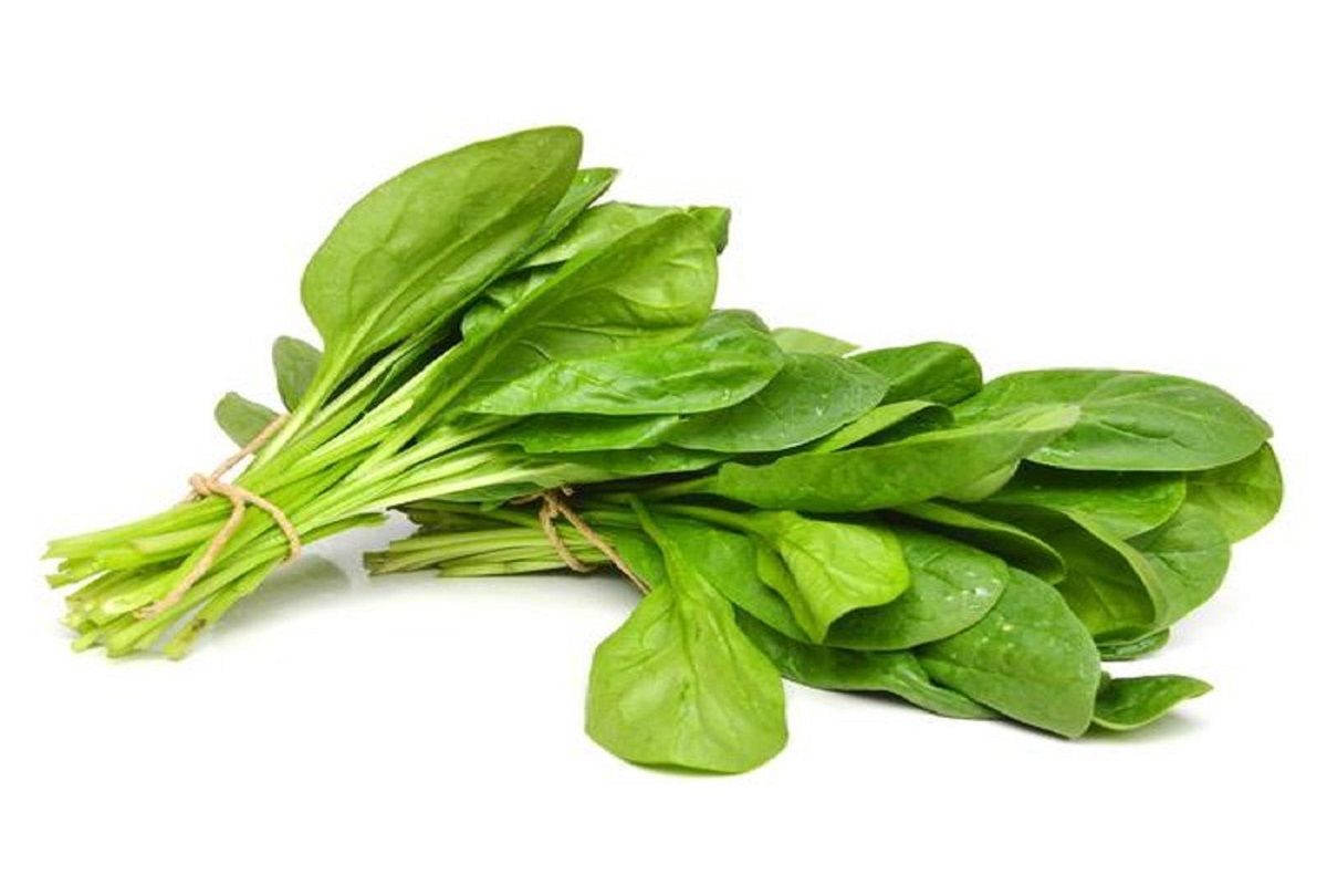 Palak Benefits: पालक की सब्जी का स्वाद तो आपने चखा ही होगा, अब फायदे भी