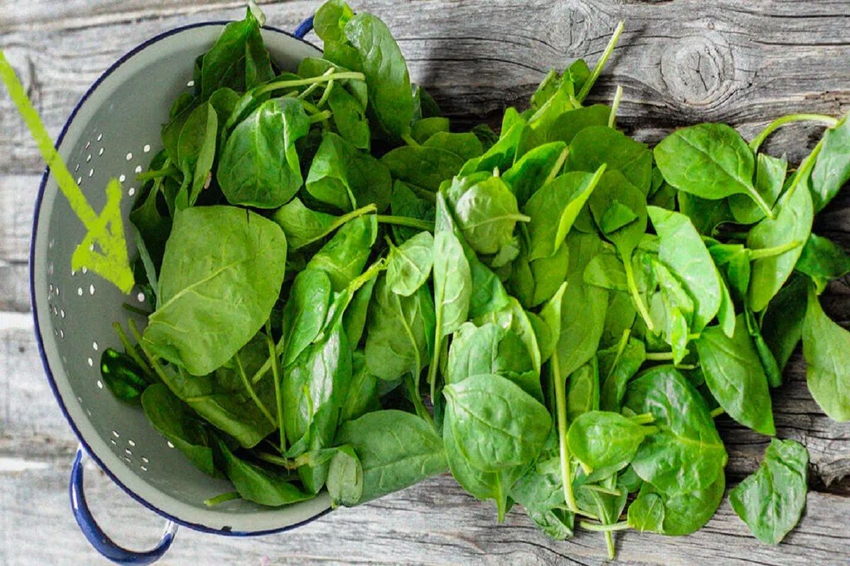 Palak Benefits: पालक की सब्जी का स्वाद तो आपने चखा ही होगा, अब फायदे भी