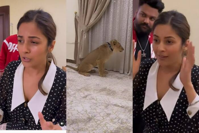 Shehnaaz Gill Freaks Out After Meeting Lion Cub Inside a Room, Watch Hilarious Video