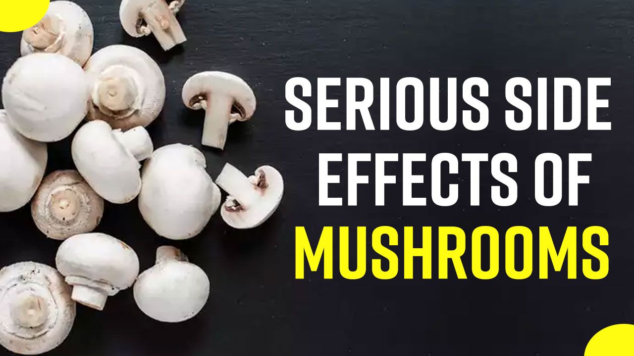 Side Effects of Mushroom इन स्थितियों में ना खाएं मशरूम हो सकता है भरी