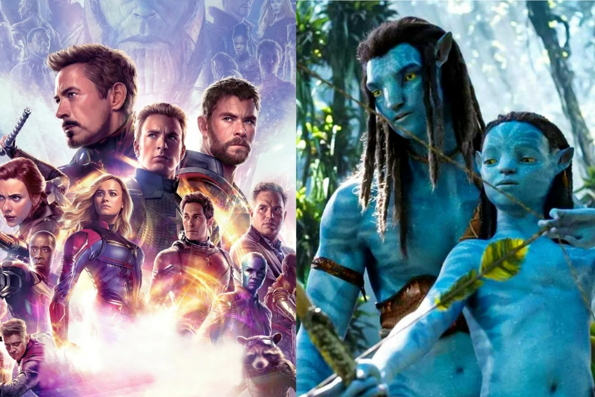 Avatar overtakes Avengers Endgame fans react The real winner is Zoe  Saldana  Entertainment NewsThe Indian Express